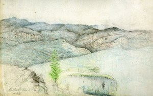 edgar drawings of trail