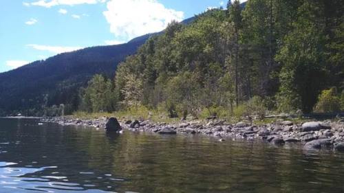 13590402_286951738319017_345157331253154365_n